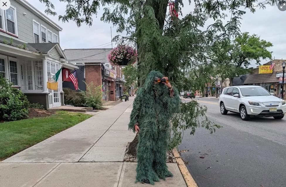 New Jersey Officer Disguised as Shrub Issues 74 Distracted-Driving Tickets in Six Hours