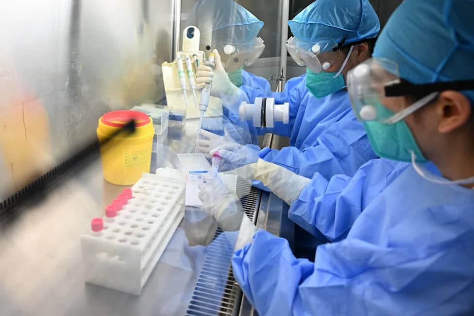 Salmonella Javiana Outbreak Doubles To 212 Cases As FDA Traces Unknown Source