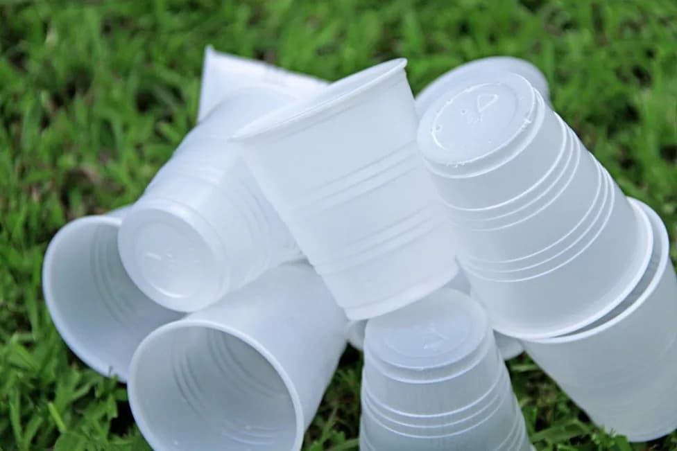 Why Plastic‑Coated Paper Keeps Foiling Recycling — And How The Industry Can Fix It