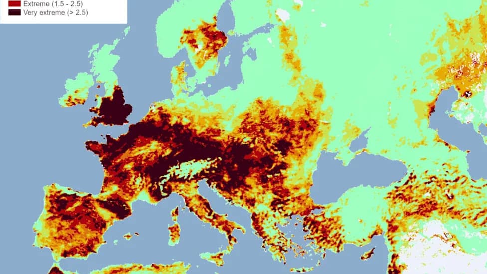 Urgent Map Warns Europe Could Face Peak Wildfire Risk 29 July–2 August