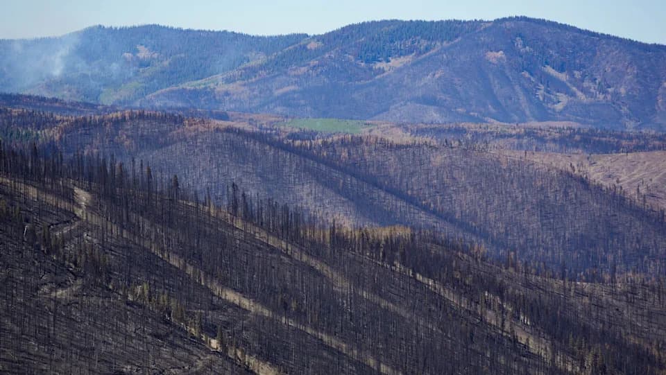 Hotter, Drier Weather Is Overwhelming Wildfire Prevention — Lessons From Utah’s Cottonwood Fire