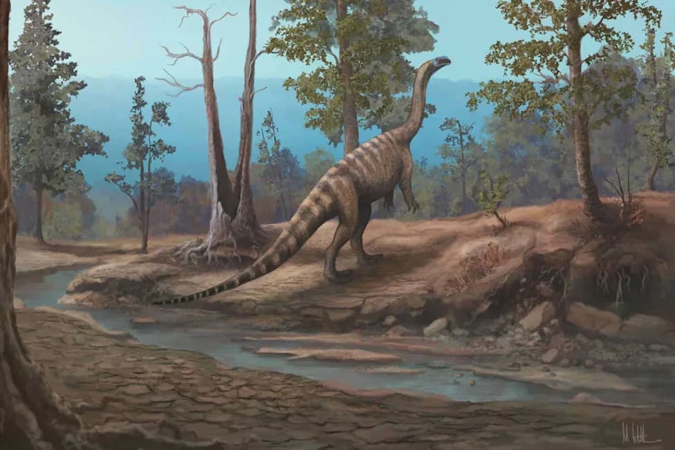 New 210-Million-Year-Old Dinosaur Discovered in Zimbabwe — Musango matusadonaensis