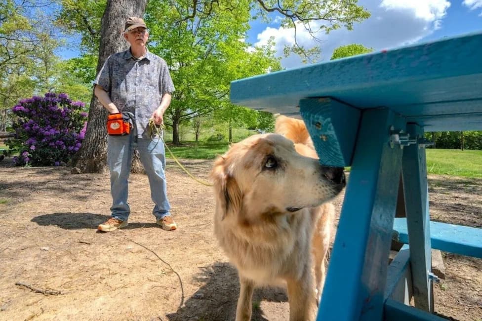 Pet Dogs Trained To Sniff Out Spotted Lanternfly Eggs — A Low‑Cost Early Warning For Vineyards