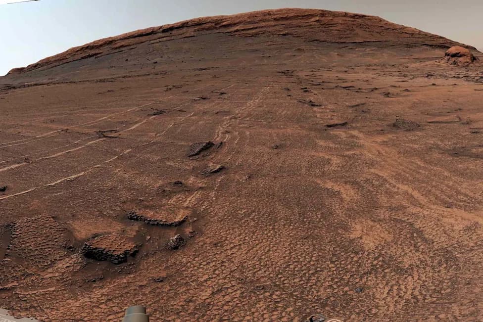 Curiosity Finds Vast Honeycomb-Like Polygon Field on Mars — "Took Our Breath Away"