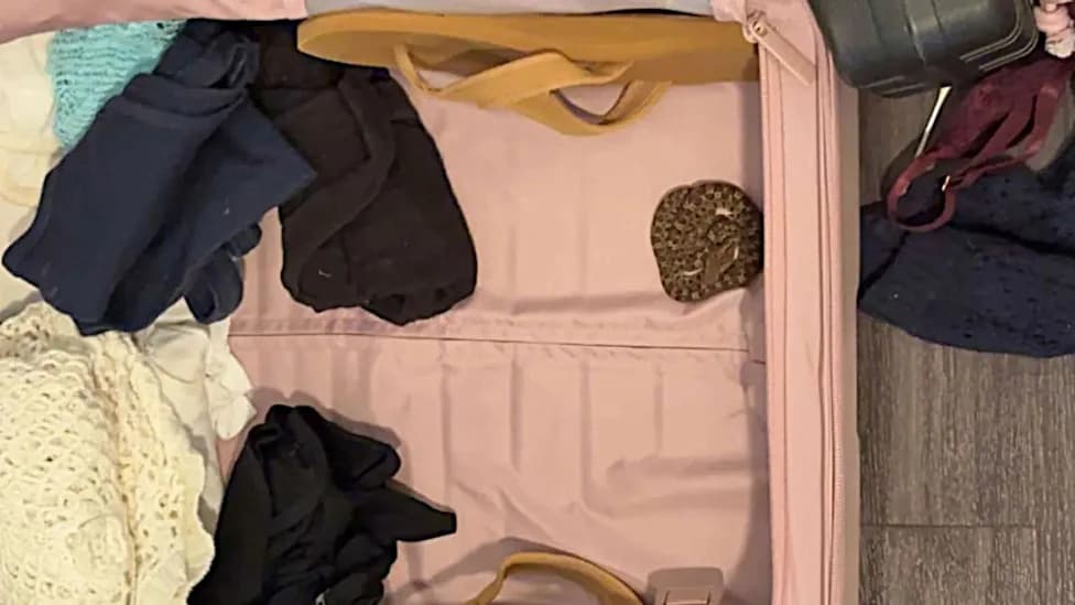 Tiny Venomous Pit Viper Hitchhikes Home From Costa Rica — Found in Student's Carry-On