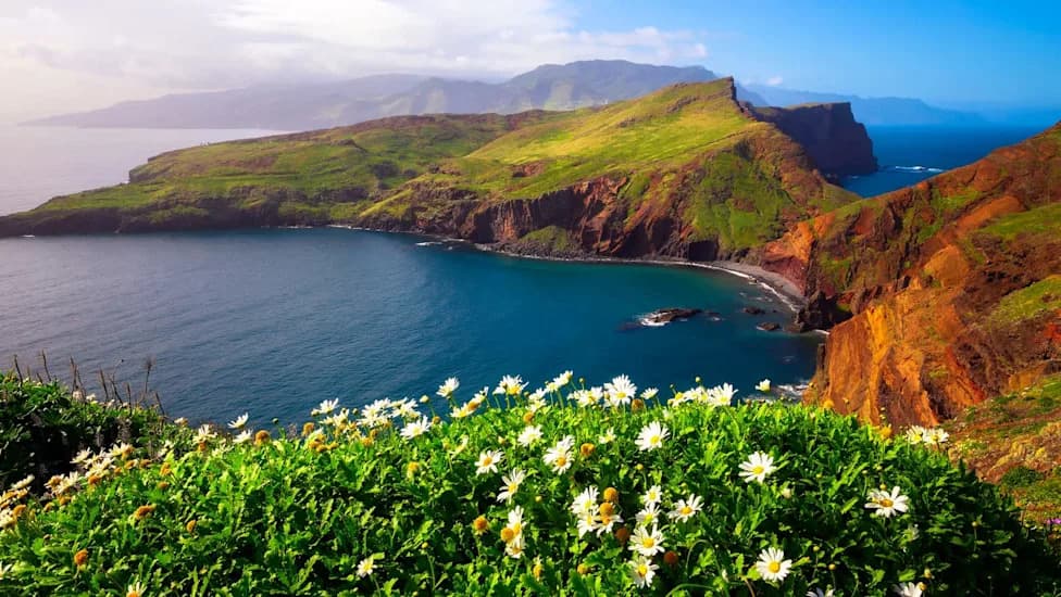 Hundreds of Tiny Endangered Snails Reintroduced to Madeira After Emergency Breeding Rescue