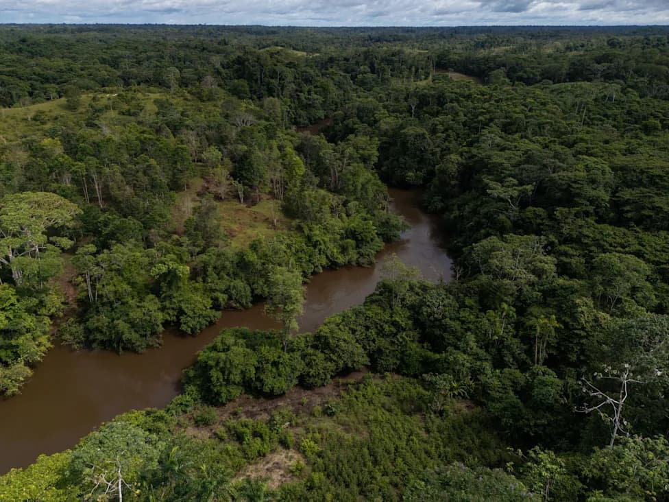 Colombia Sees Small Rise in Deforestation in 2025 as Amazon Pressure Holds Steady