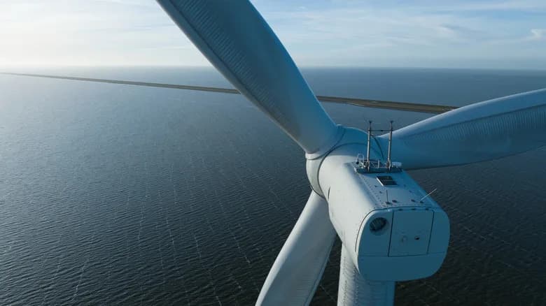 Portugal’s Floating Wind Farm Boosts Marine Life — Creates Unexpected Reef While Generating 345 GWh