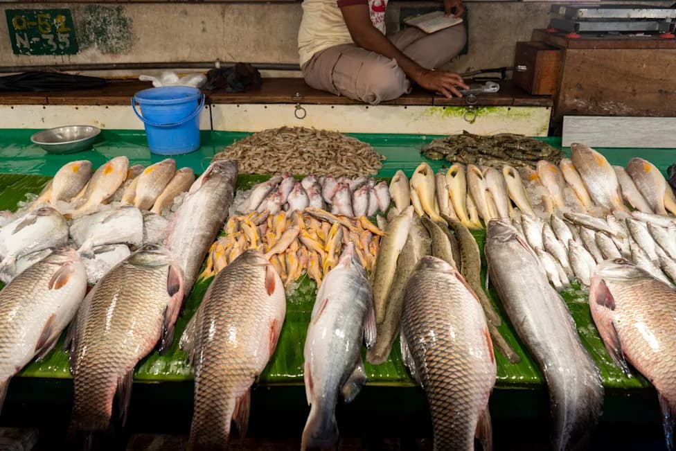 Florida Reports First 2026 Death From 'Flesh‑Eating' Seafood Bacteria — 12 Cases Confirmed