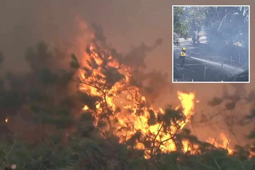 32-Year-Old Transient Arrested In Sonoma County Arson Probe Amid Surge Of Suspicious Fires