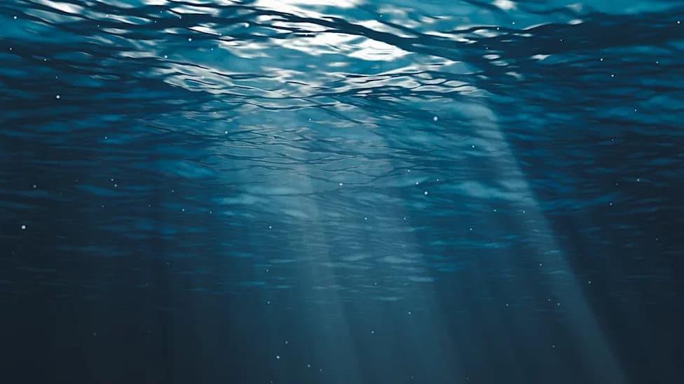 Microplastics Reach 2,000 m: Deep-Sea Hydrothermal Vents Contaminated