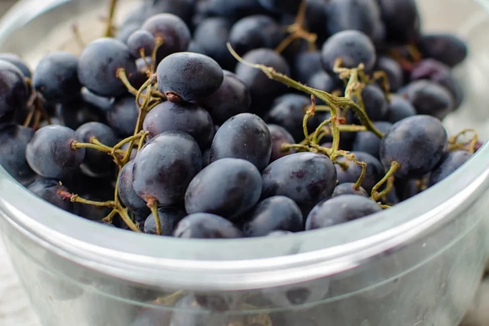 He Ate Grapes for Two Days — Then Discovered a Black Widow Hidden in the Bunch