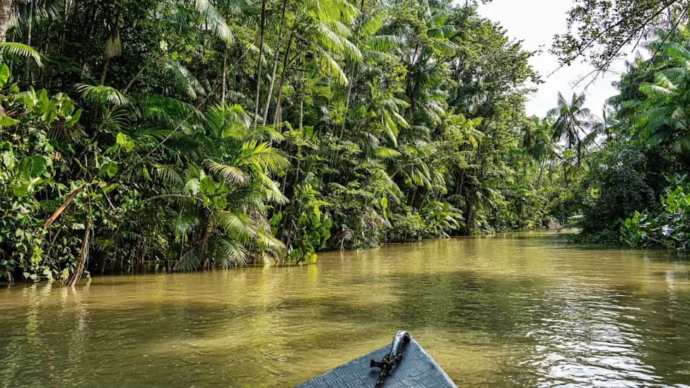 Warming Could Compress 3 Million Years Of Tropical Change Into Decades, Study Warns