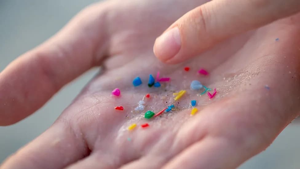 Microplastics Found in All 17 Human Artery Samples — PET Predominant, Plaques Contain More