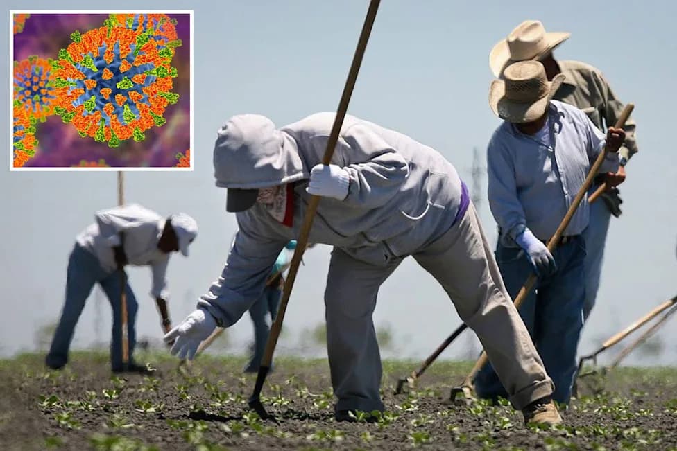 Central Valley Monitors About 150 Farmworkers After Exposure to Arizona Measles Outbreak