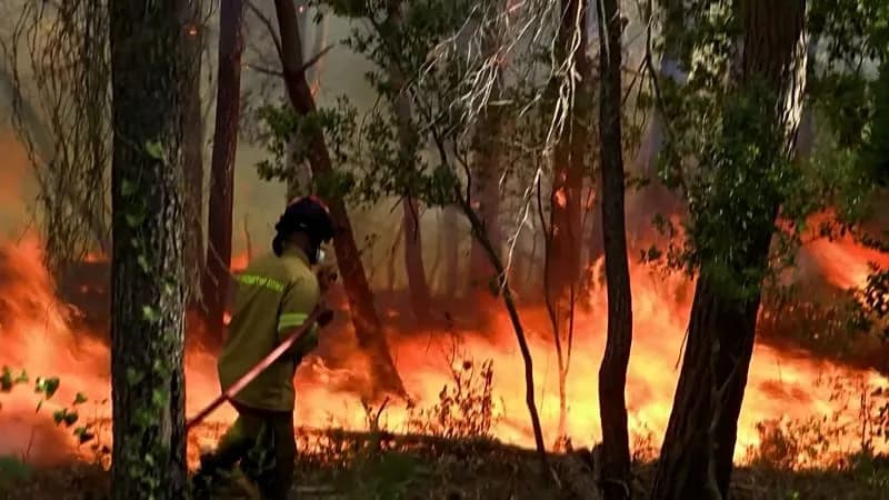Gale-Driven Wildfires Force Evacuations on Kefalonia; Blazes Threaten Areas Near Athens