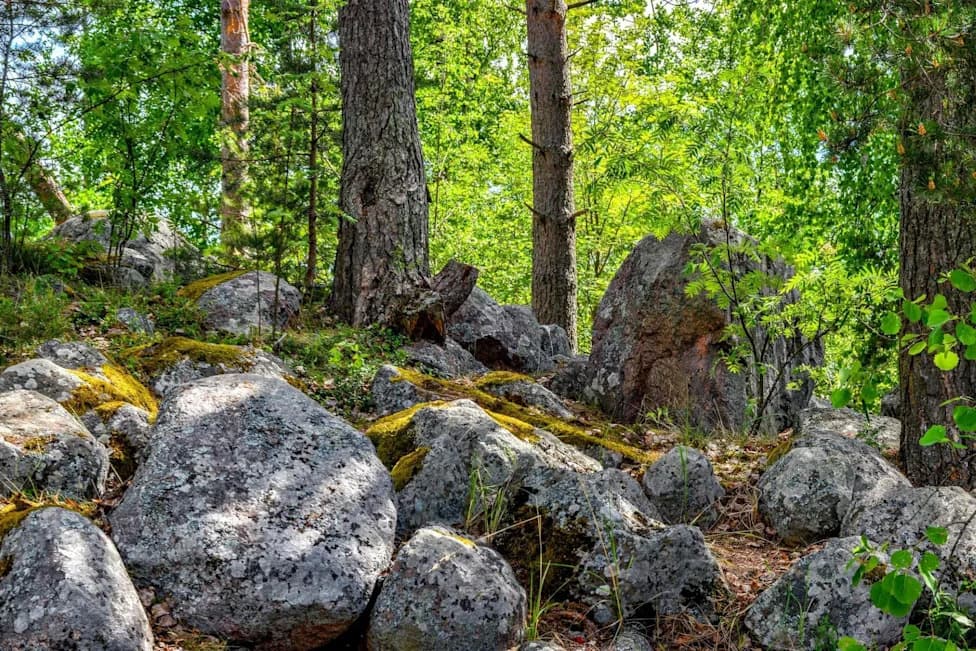 11-Year-Old Freed After Nearly Six Hours Trapped in Rock Crevice With Python Nearby