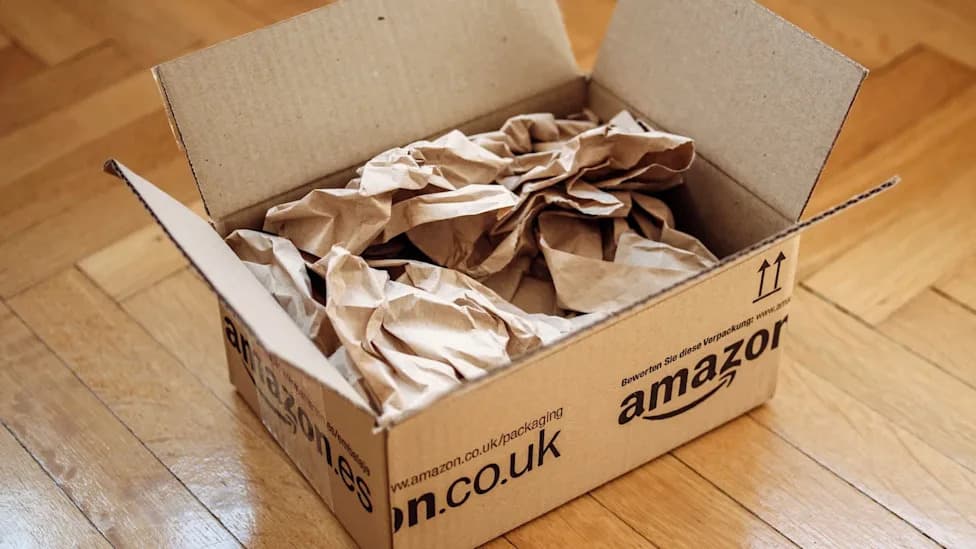 Snake Hidden Inside Amazon Package Bites 3-Year-Old in Sacramento — Child Treated and Stable