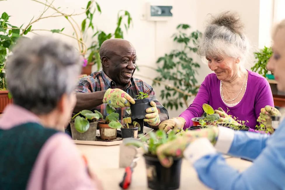 Senior Centers Can Close Memory Care Gaps in Rural America