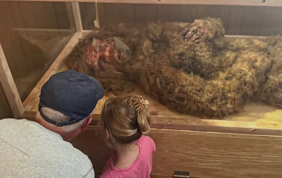 Cornell Denies 'Bigfoot' DNA Tests — Claims Over Specimen 'Dack' Ignite Fresh Controversy