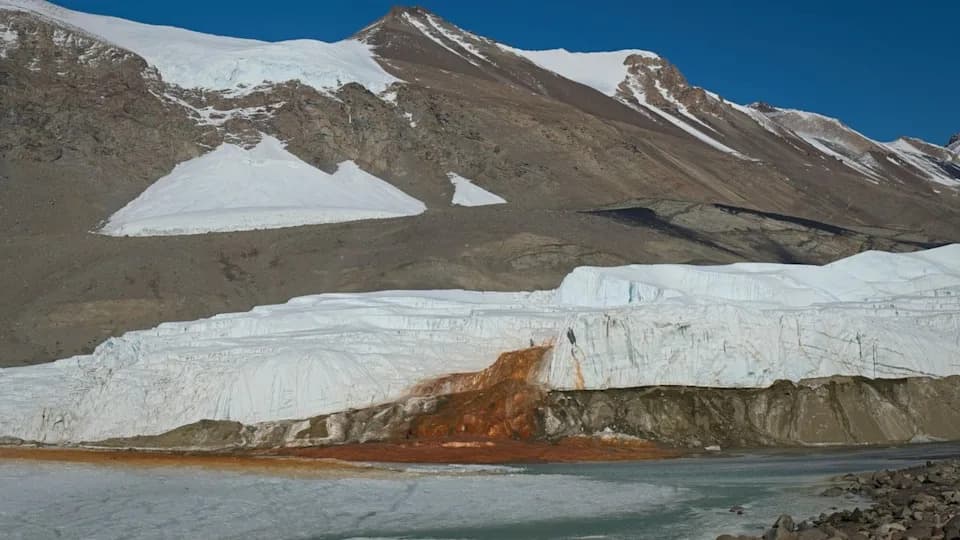 Genetic Clues Suggest Blood Falls’ Brine Is Ancient Seawater Trapped Beneath Taylor Glacier