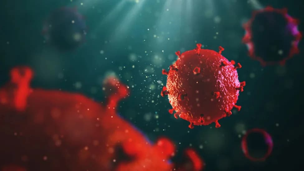 First In‑Human CRISPR for HIV Shows Strong Safety But Not A Cure — One Promising Signal