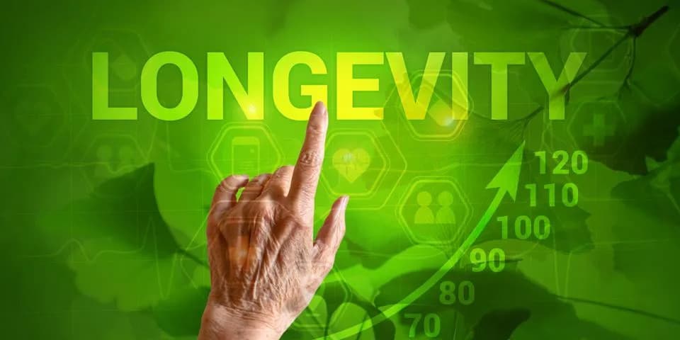 U.S. Death Rate Hits Century Low in 2025, Narrowing Life-Expectancy Gap With Peers
