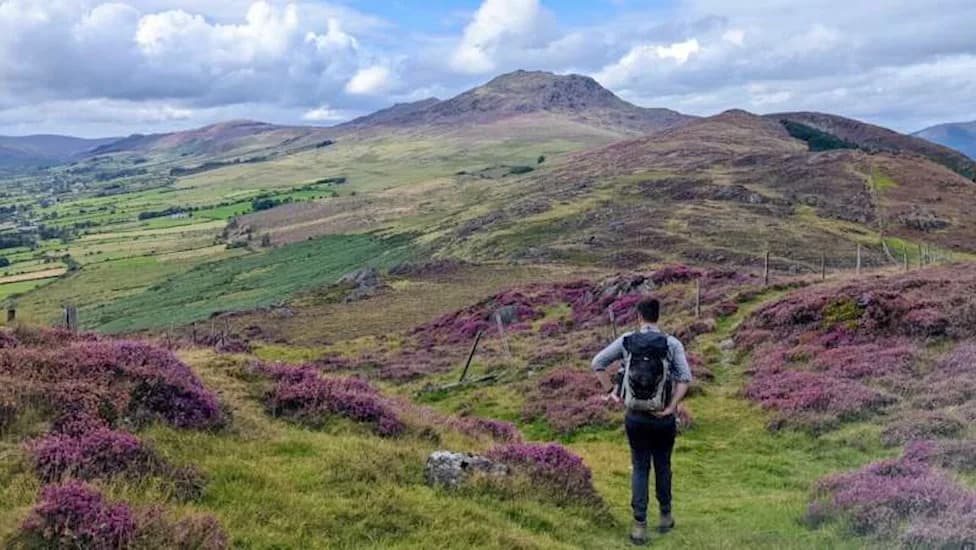 Ancient Irish Rocks Reveal Magma Pulses Between 'Mush' and Melt — Rethinking Volcano Plumbing