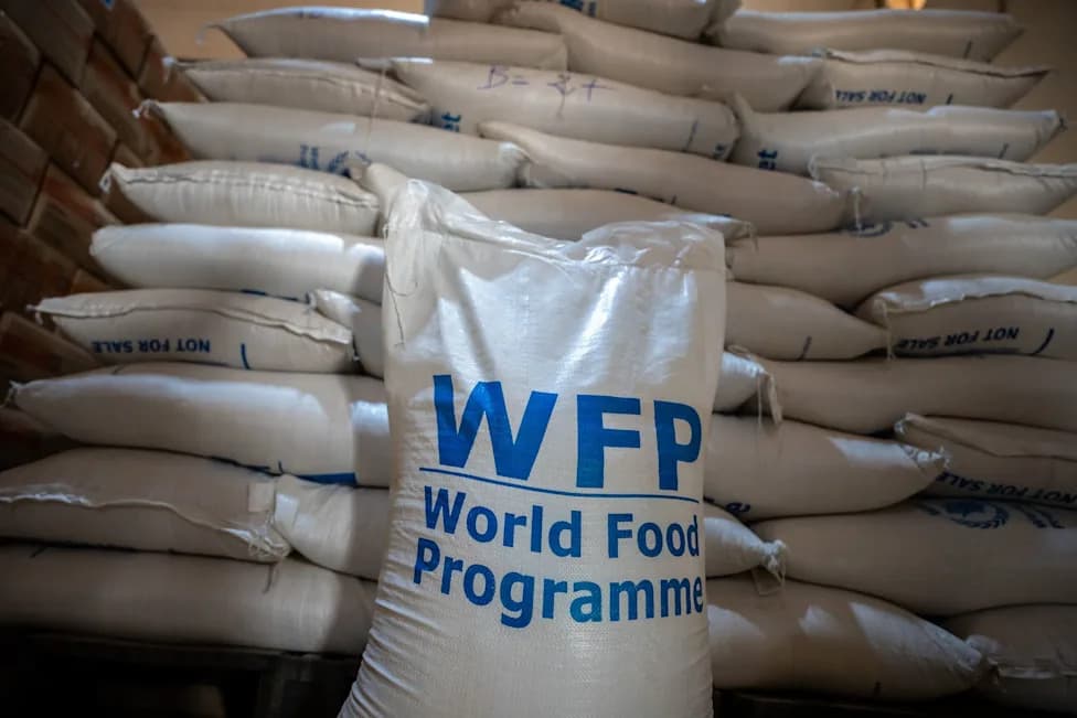WFP Warns Afghanistan Hunger Crisis Is Deepening — Only 1 In 9 Malnourished Children Can Be Reached