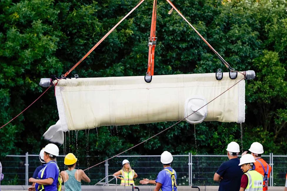 Seven Female Belugas Transferred From Marineland to SeaWorld San Antonio in Coordinated Rescue
