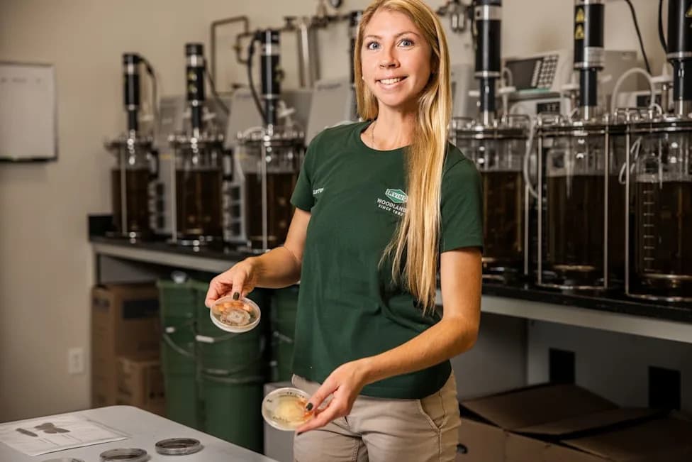The Fungus That Could Protect Maine’s Fir Trees — One Seedling at a Time