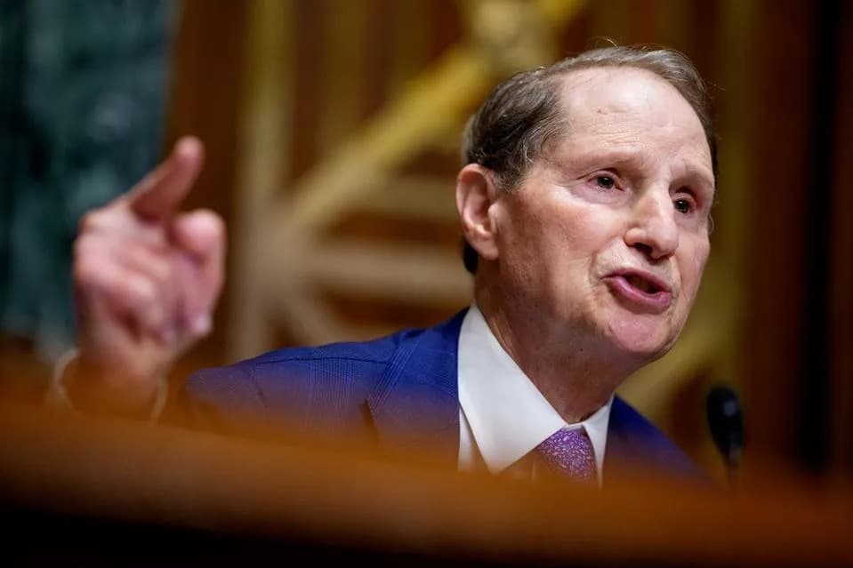 Senate Democrats Outline Public-Option Plan to Make Health Insurance More Affordable
