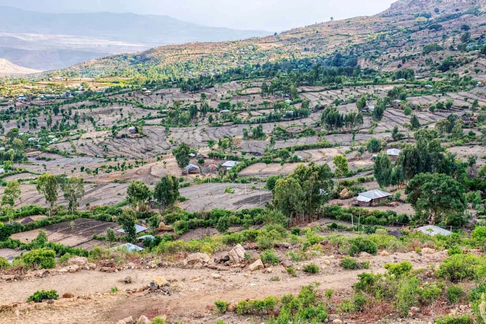 At Least 14 Dead, Seven Injured After Landslide Strikes Ethiopian Monastery During Prayer Service