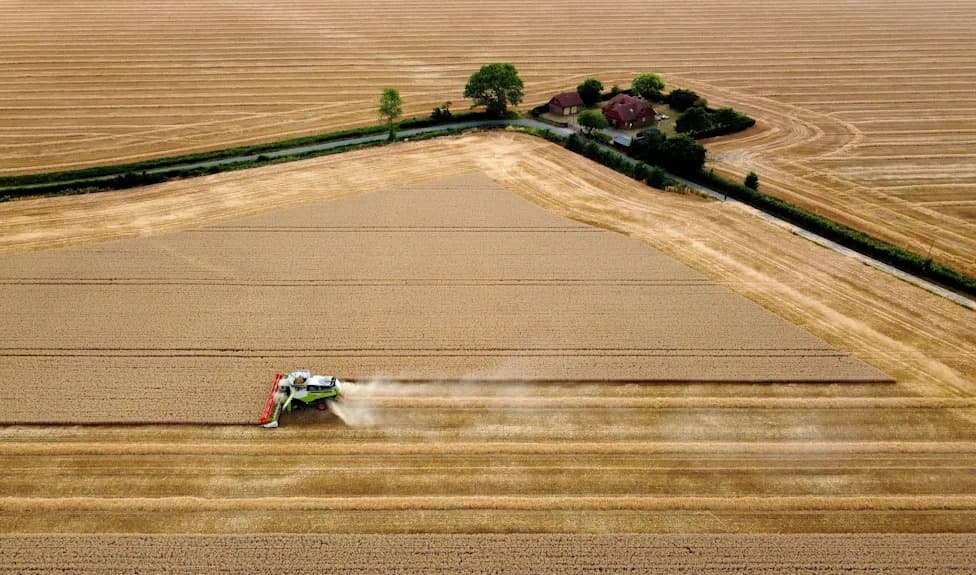 ‘Completely Brutal’: UK Could See Worst Harvest Since 1984 After Extreme Heat and Drought