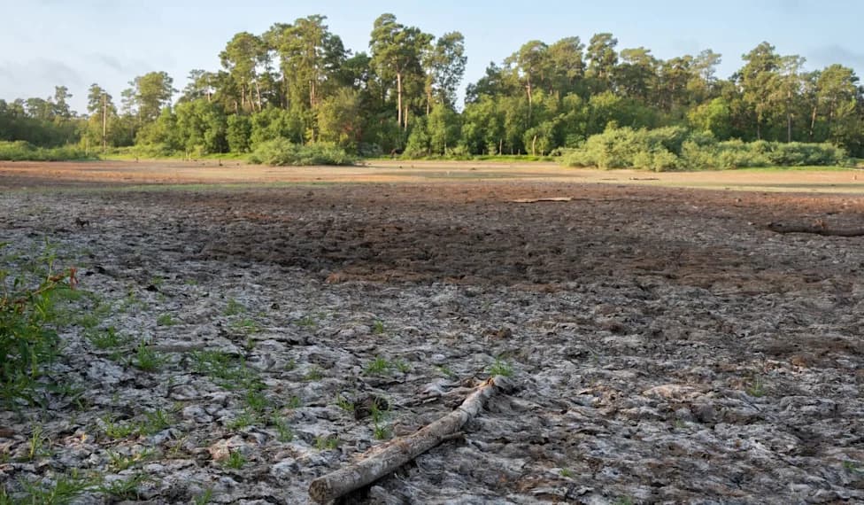 Texas Ranchers Win $7M Jury Award After Rejecting Low Pipeline Offers — A Landmark Eminent-Domain Ruling