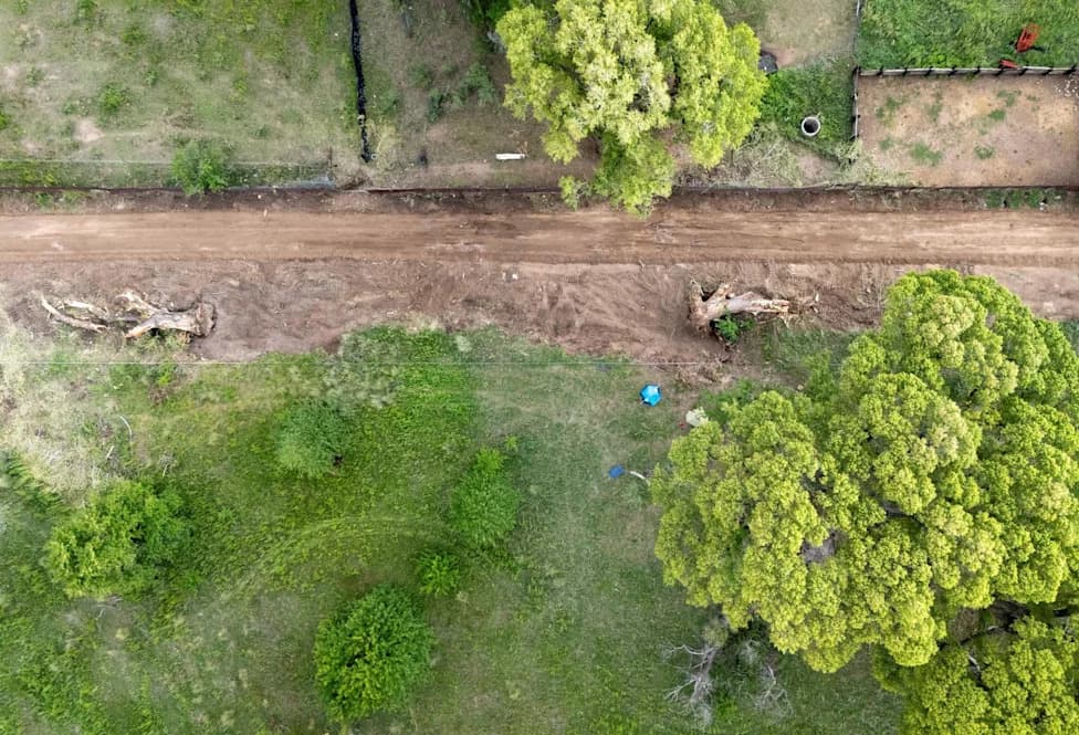 ‘She’s Our Statue of Liberty’: Activists Occupy 200-Year-Old Cottonwood to Stop Border Wall