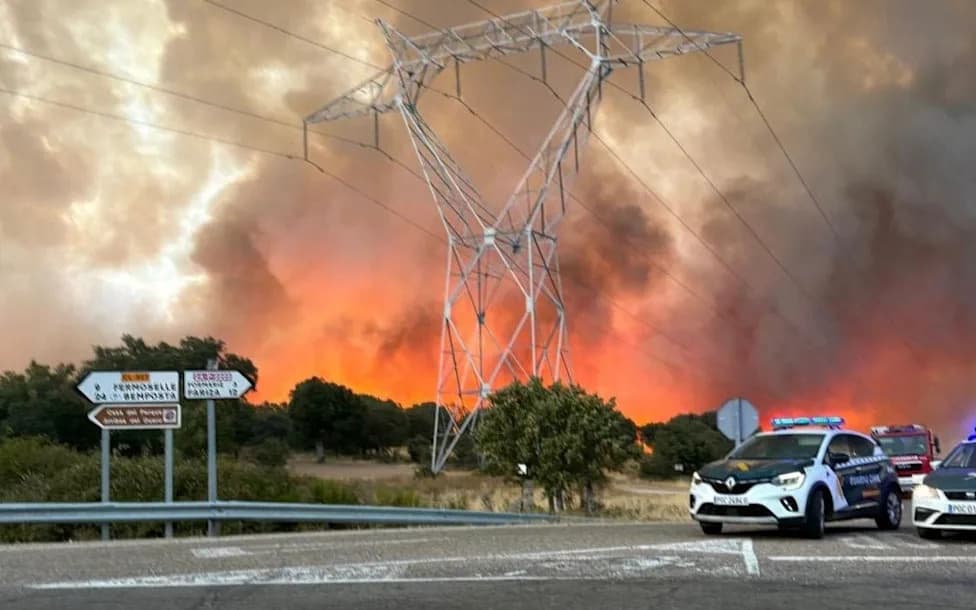 Rewilding Is Increasing Wildfire Risk — Why Non‑Intervention Isn't Always the Answer