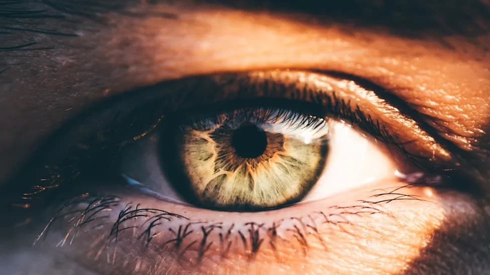 Study Finds GLP‑1 Weight‑Loss Drugs Linked With Lower Risk Of Age‑Related Macular Degeneration