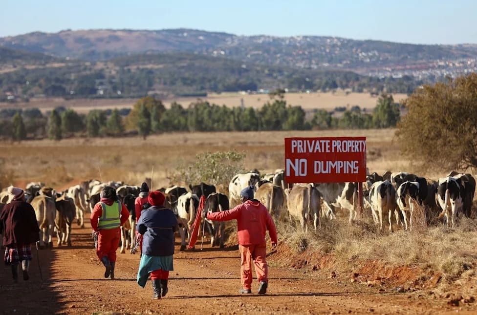Democratic Alliance Mounts Court Challenge To Expropriation Act, Deepening Political And Diplomatic Rift