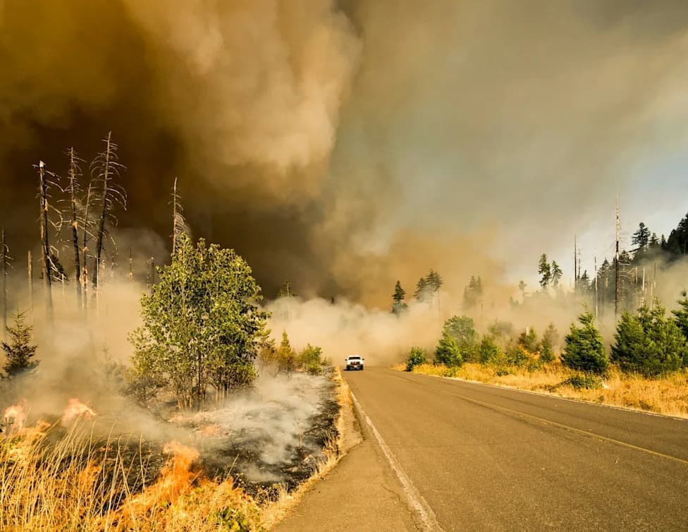The Countries Producing The Most Wildfire Pollution In 2026 — Global Emissions, Health Risks, and the Top 10