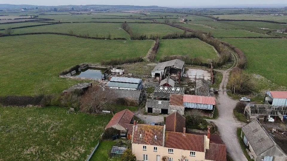 Ebdon Farm to Become 44-Acre 'Beacon of Hope' Wetland Nature Reserve After £5m Grant