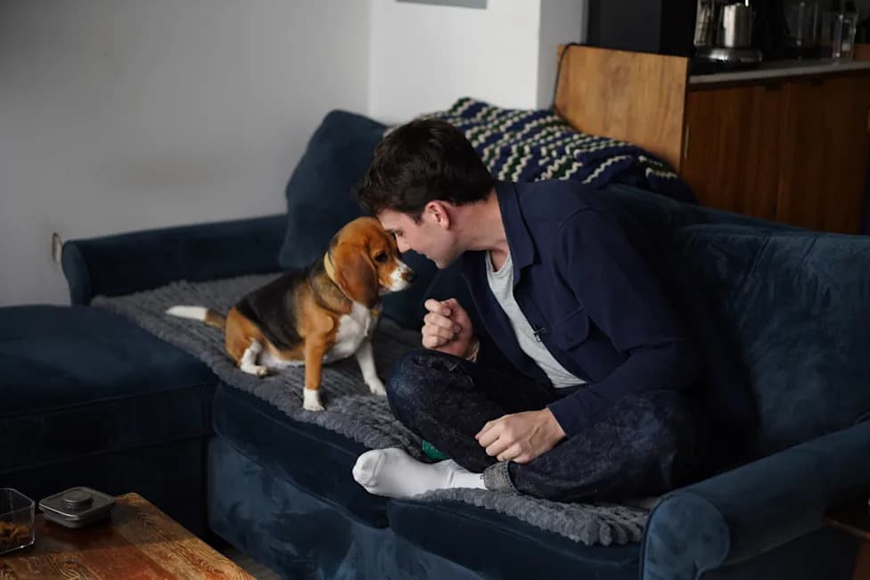 Gene-Edited Beagles Offer Hope For People With Dog Allergies — But Questions Remain