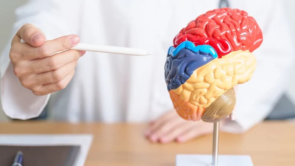 ABLi: Risvodetinib Shows Promising Biomarker Changes Suggesting Potential Disease‑Modification in Parkinson’s