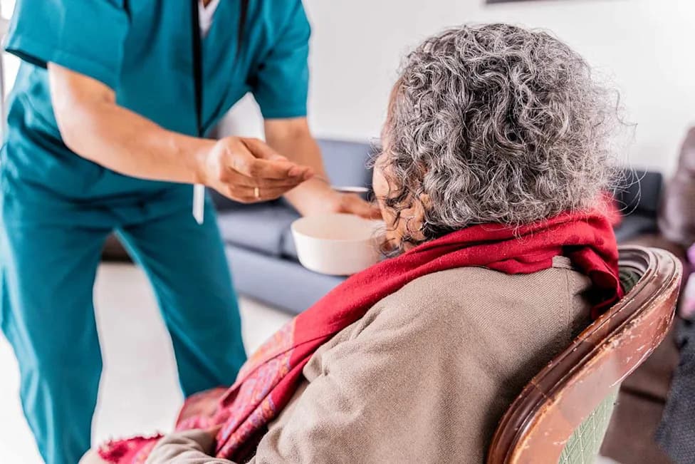 Portsmouth Care Scandal: Elderly Woman Fed Cooked Dog Food, Inquiry Finds Multiple Failings