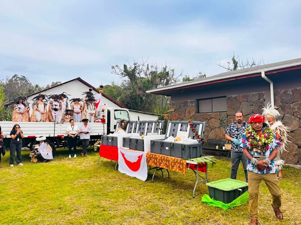 Australian Museum Repatriates 17 Rapa Nui Ancestors to Easter Island in Major Restitution
