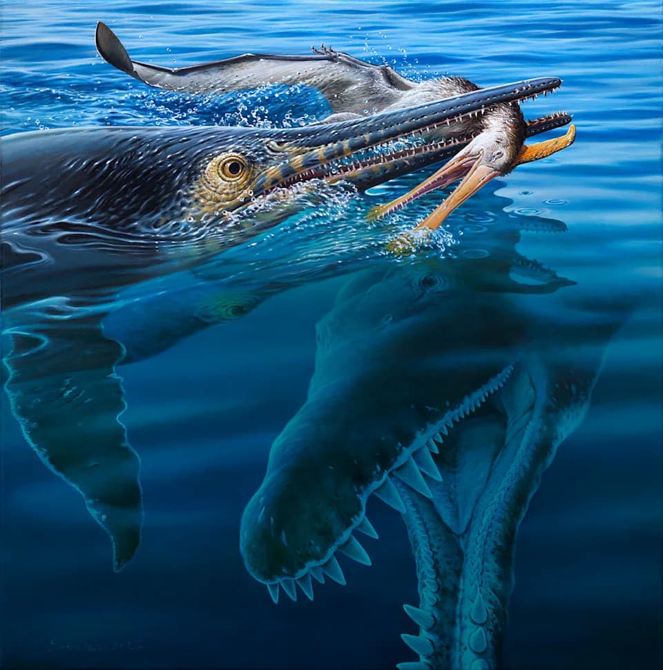 Rare Australian Fossil Shows Ichthyosaur Swallowed a Pterosaur — Then May Have Been Killed by a Giant Pliosaur