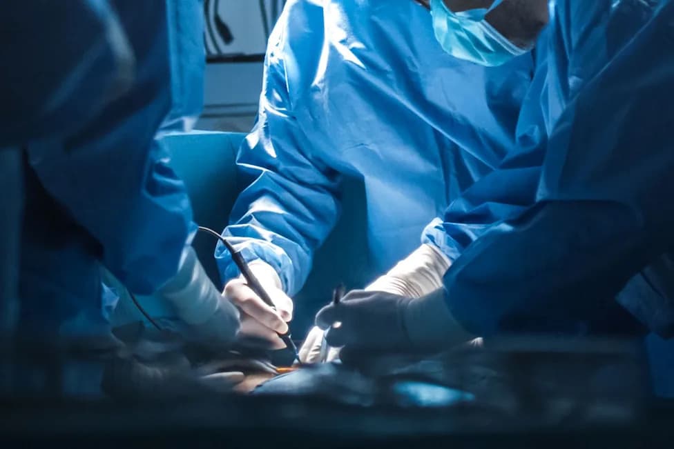 UK Surgeon Banned After Creating Life-Threatening 'Closed Loop' Between Stomach And Small Intestine