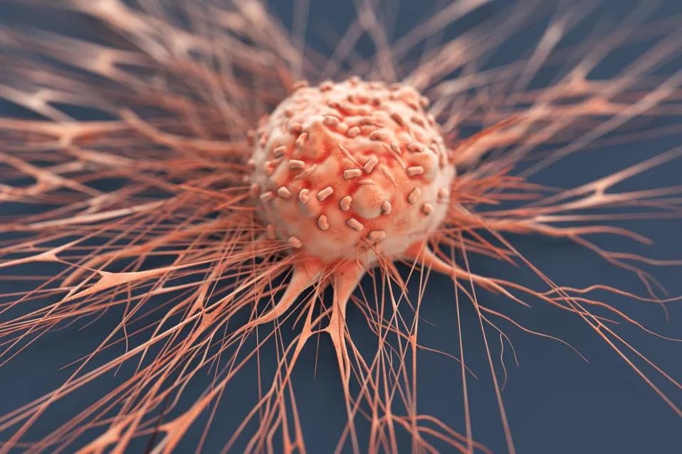 New Cancer Strategy: Setidegrasib—A Drug That Destroys Mutant KRAS Instead of Just Blocking It