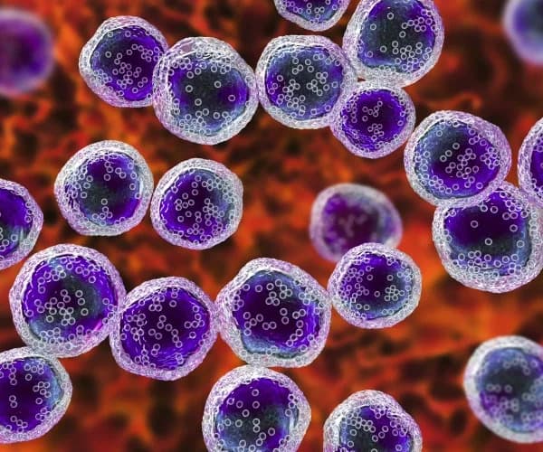 Arginine Restores the Immune “Warning System” That Helps Detect Cancer and Viruses