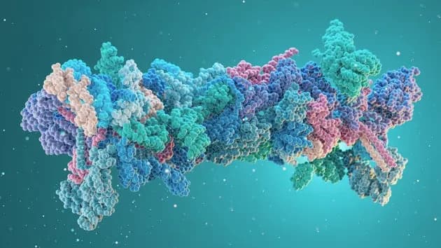 Unregulated Peptides Are the ‘Wild West’ — FDA’s Compounding Decision Could Raise Risks